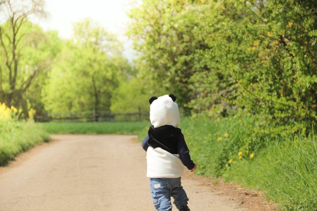 Der kleine Panda-Fan