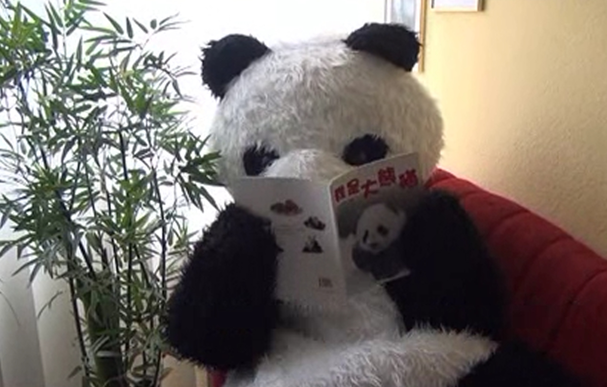 Wo schläft Großer Panda?