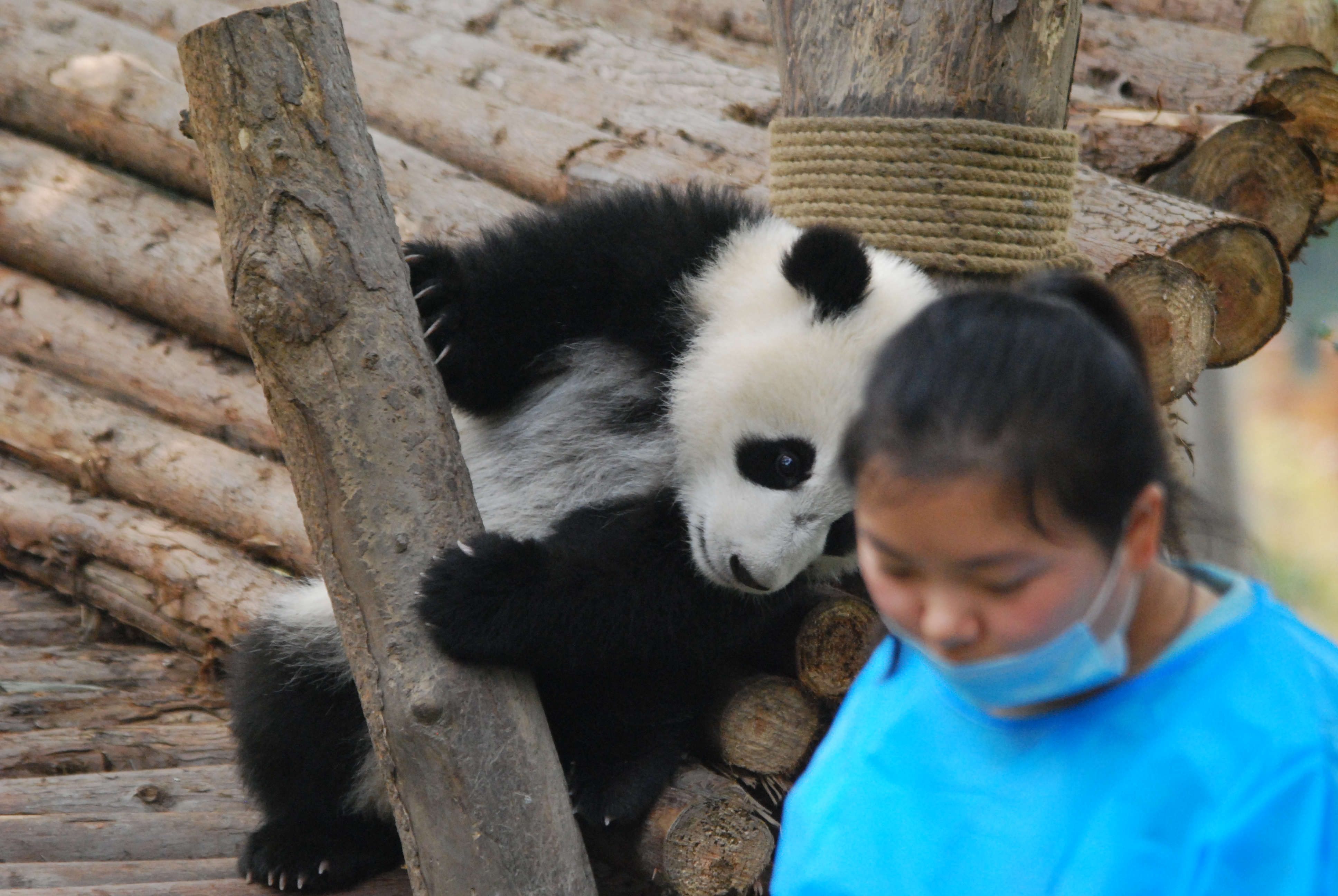 Beste Wünsche zum Muttertag