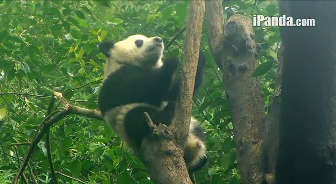 Es ist so schön hier