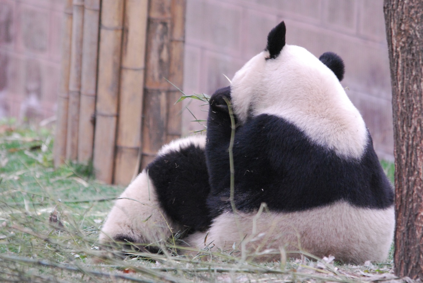 Mama, wir haben Hunger