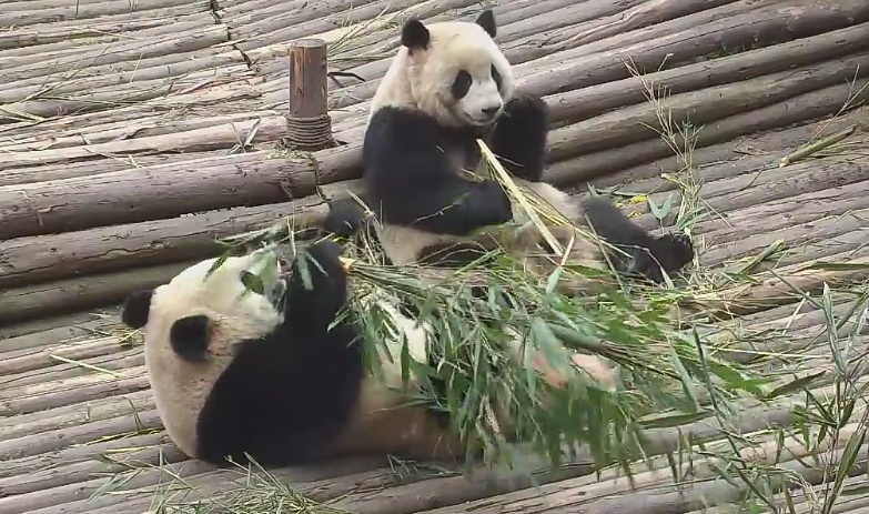 Ce fut une journée passionnante