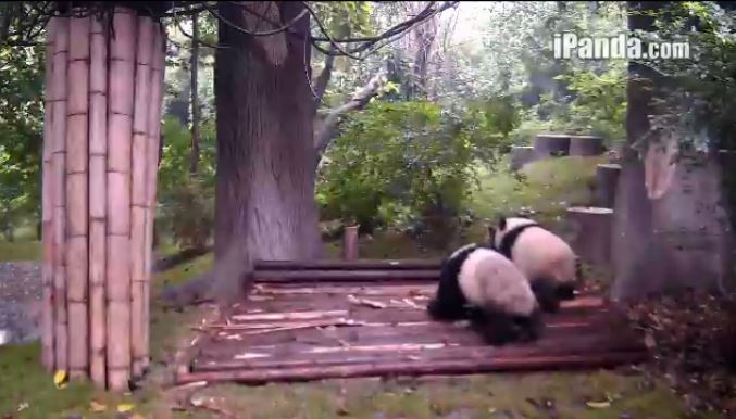 Mama und ihre Kinder