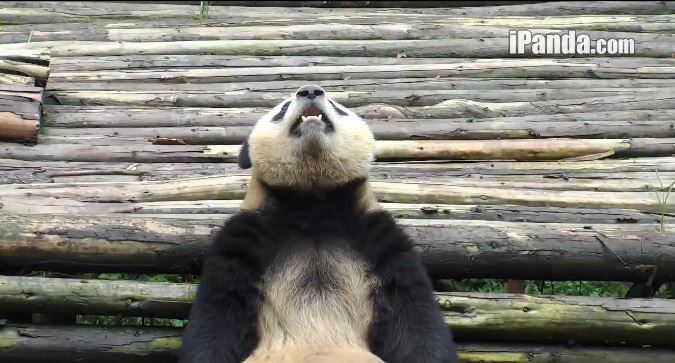 Happy New Year 2016!