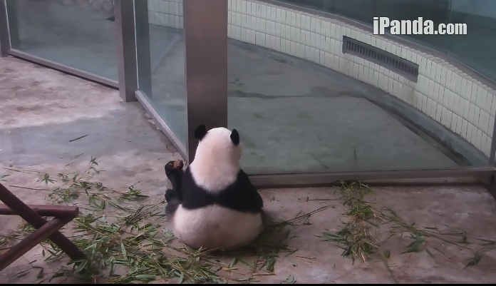 It tasted fine and delicious