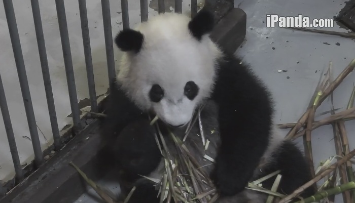 Kleine Schönheit: Mein Alltag