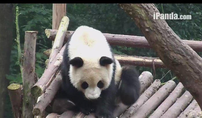 In meinem Beautysalon