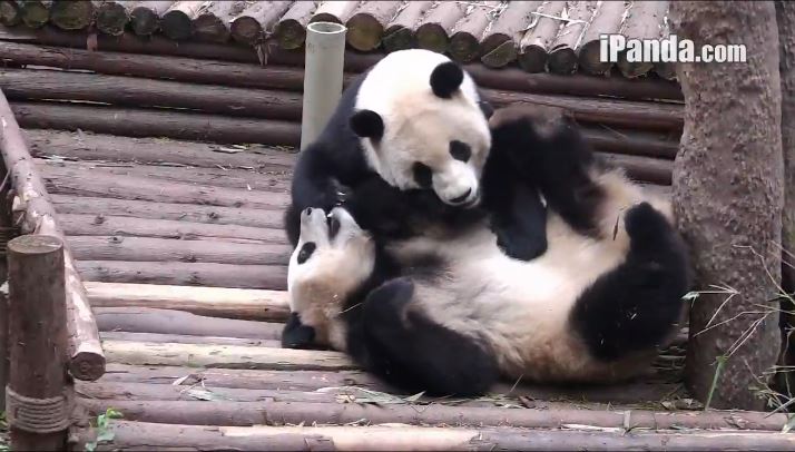 It’s wonderful day!