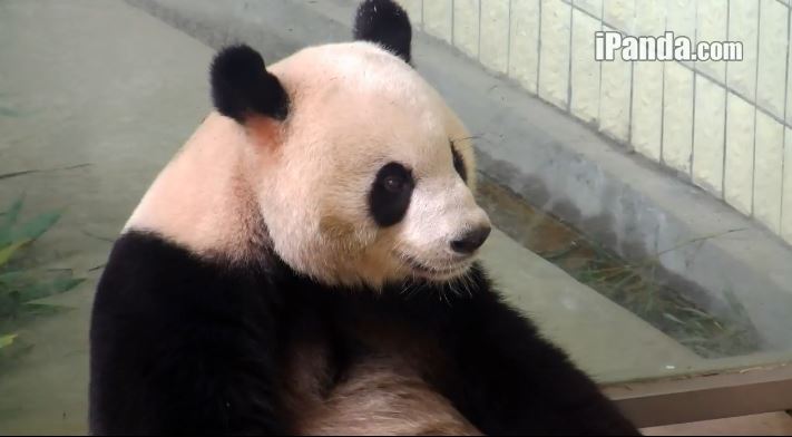 Entspannung nach Ying Ying Art