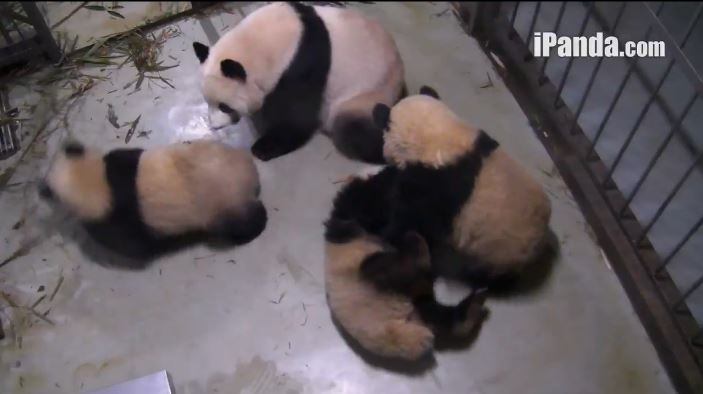 Fun and Games with Mama