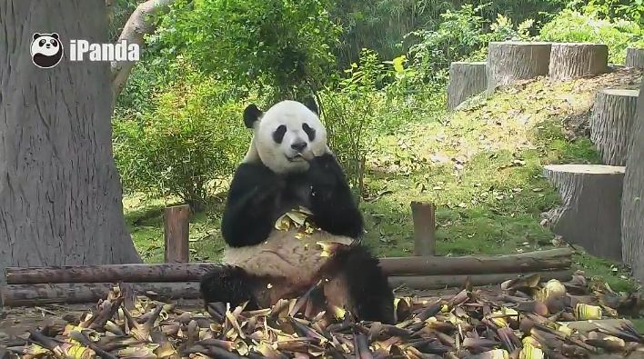 Baden, essen, ausruhen
