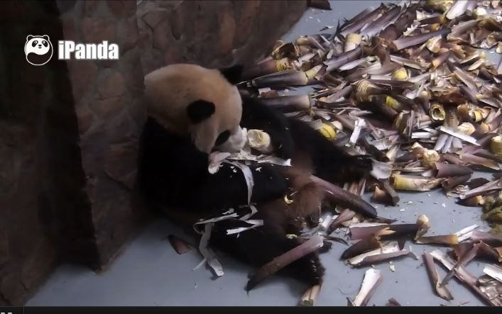 Lecker-Frisch-Köstlich