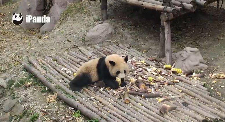 Lecker, fein und köstlich