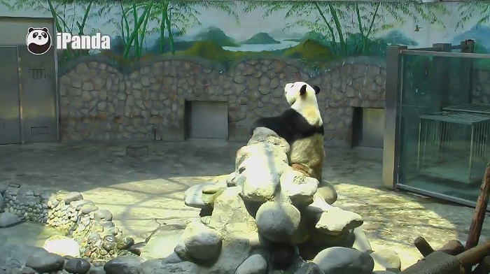 Bad, Spaziergang und Sonne