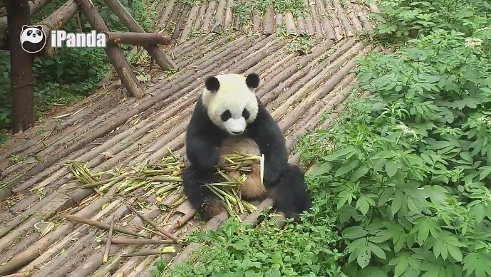 Gemütliches Plätzchen