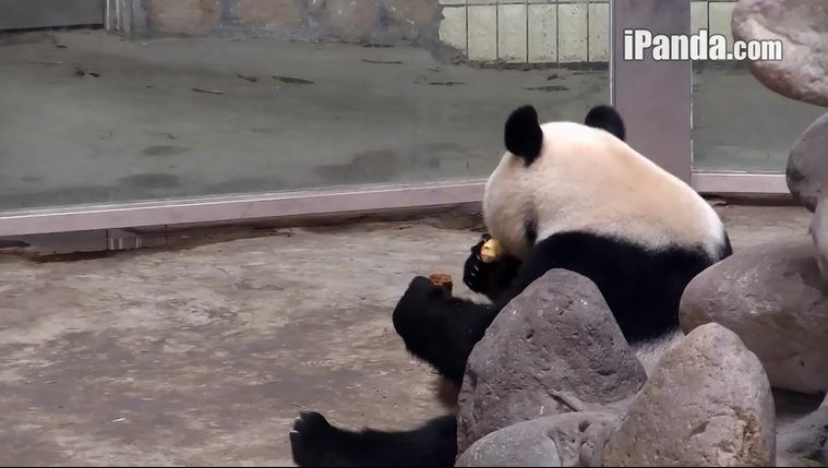 Красивые праздников!