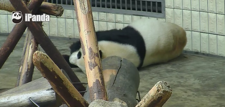 Was für eine Hitze!