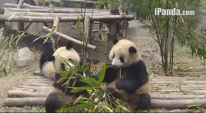 Hm, es schmeckt lecker!