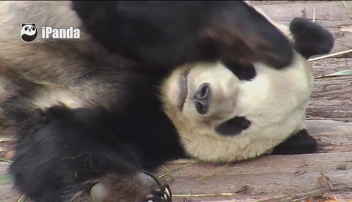 Ich schlafe…träume…bin müde…