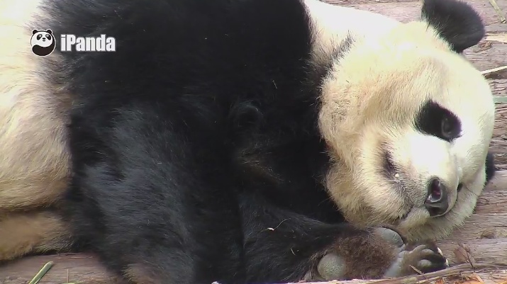 Nach der Festlichkeit