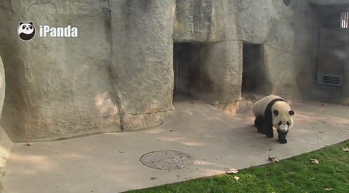 Neujahrsaktivitäten