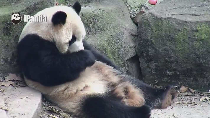 Lecker, lecker auch in 2016