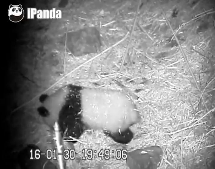 Hetaoping – Momentaufnahmen