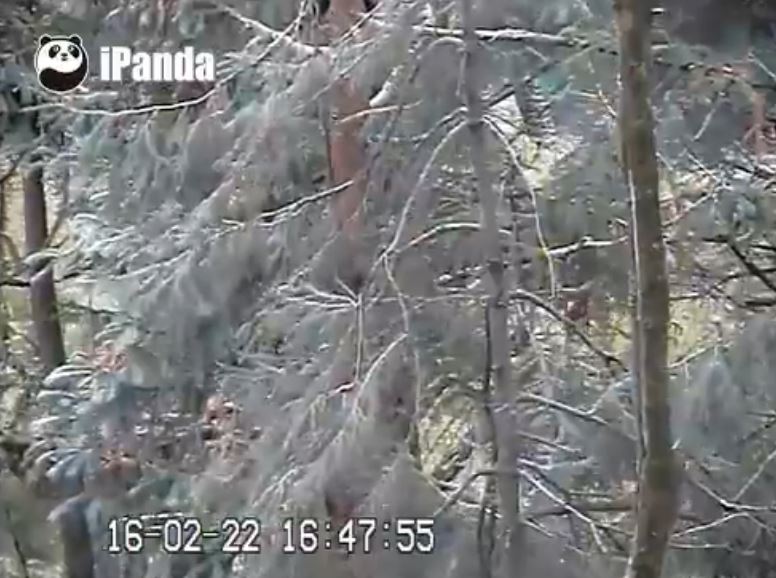 Frühling in Hetaoping