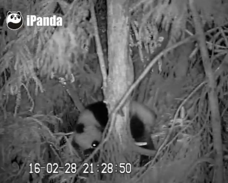 Aktivitäten am Tage & in Nacht