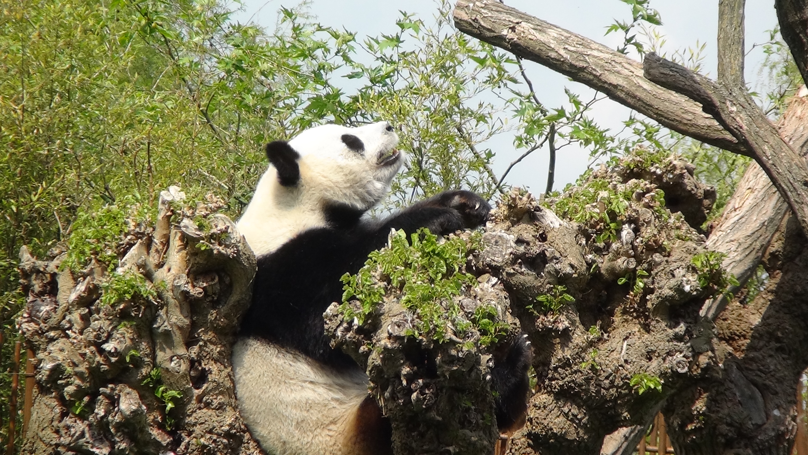 International Day for Biological Diversity