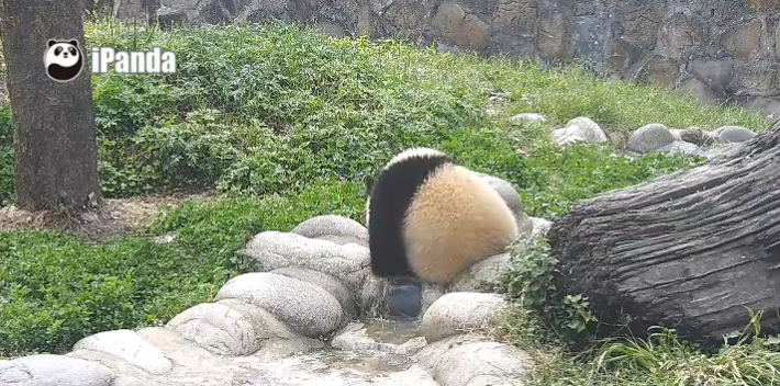 What a Beautiful Day!