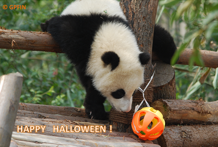 Happy Halloween for all Friends!