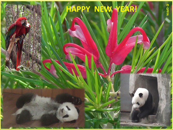 Merry Christmas & Happy New Year