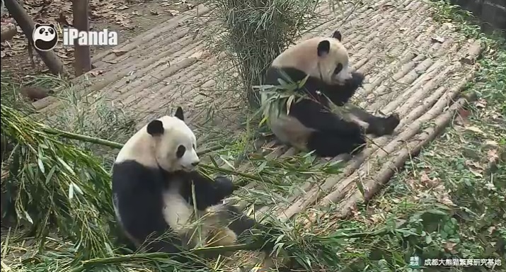 What we’re doing today?