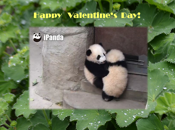 14. Februar – Valentinstag